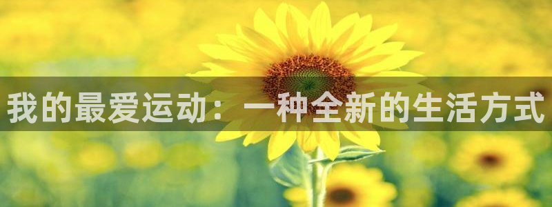 我的最爱运动：一种全新的生活方式