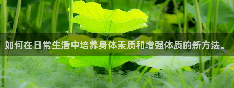如何在日常生活中培养身体素质和增强体质的新方法。