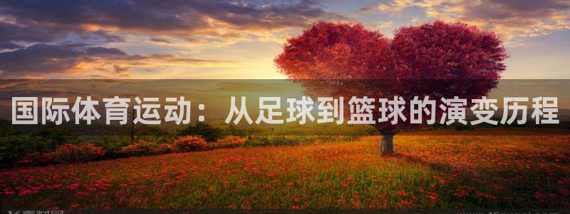 国际体育运动：从足球到篮球的演变历程