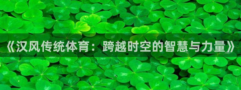 《汉风传统体育：跨越时空的智慧与力量》