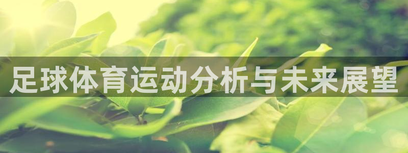 足球体育运动分析与未来展望