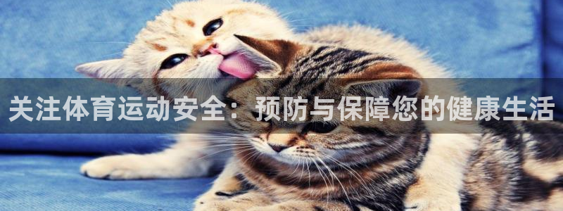 关注体育运动安全：预防与保障您的健康生活