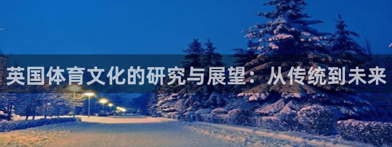 英国体育文化的研究与展望：从传统到未来