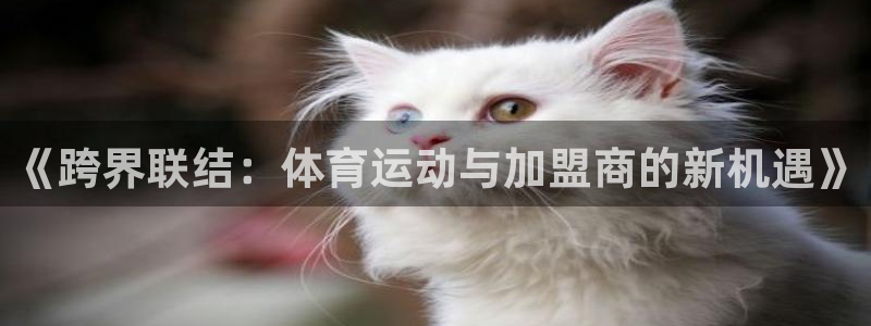 《跨界联结：体育运动与加盟商的新机遇》