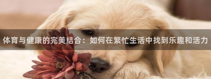 体育与健康的完美结合：如何在繁忙生活中找到乐趣和活力