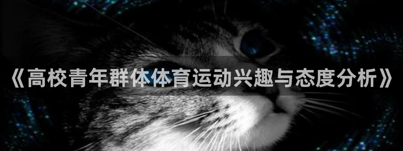 《高校青年群体体育运动兴趣与态度分析》