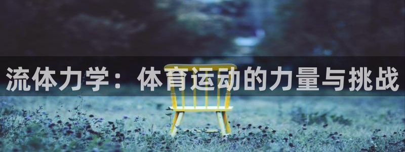 流体力学：体育运动的力量与挑战