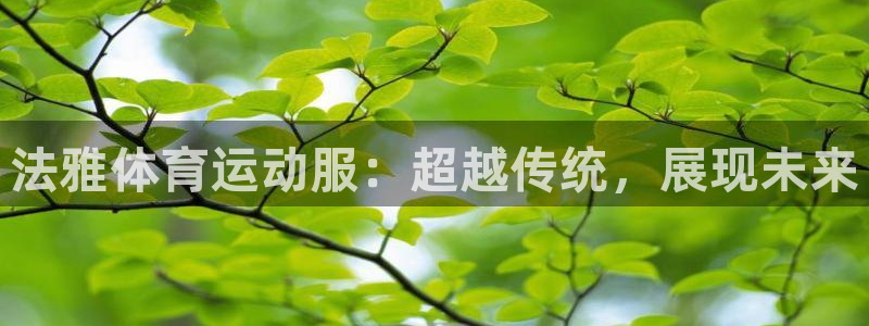 法雅体育运动服：超越传统，展现未来