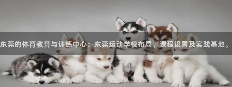 东莞的体育教育与训练中心：东莞运动学校布局、课程设置及实践基地。